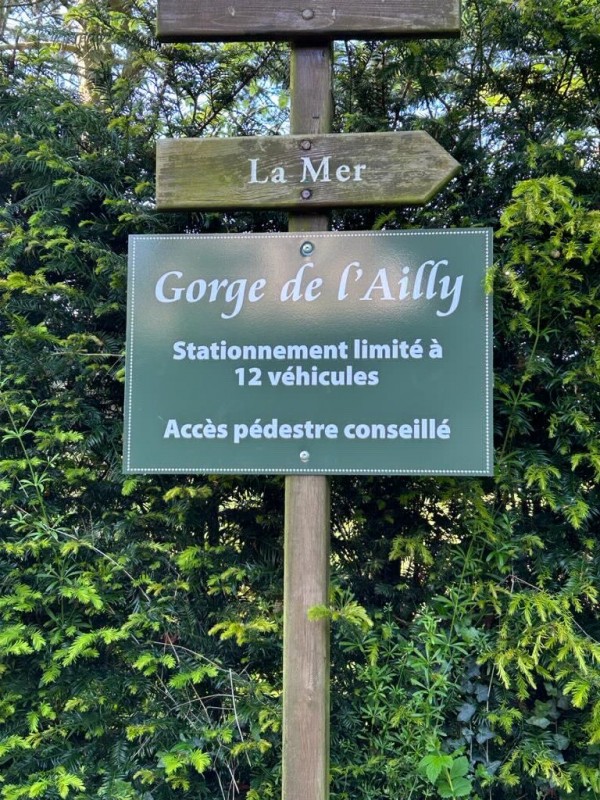 Développement personnel et professionnel